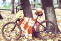 Vintage bicycle decorated with pumpking and flowers in autumn park