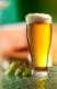 Glass of beer and hops on a Empty wooden table against green natural background