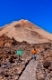 Landscape on the volcano Teide in Tenerife island - Canary Spain