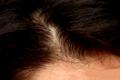 Close up of a humans head, brown thick hair