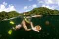 Schwimmen mit harmlosen Quallen, Mastigias papua etpisonii, Quallensee, Mikronesien, Palau, Swimming with harmless Jellyfishes, Jellyfish Lake, Micronesia