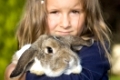 fünfjähriges Mädchen hält ein Kaninchen (mr)