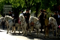 Fast fünfhundert Jahre Tradition: Das Fest der Gardians in Arles