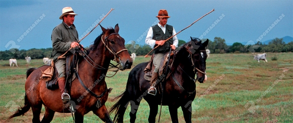 Wo Buffalo Bill das Fürchten lernte - die Cowboys der italienischen Maremma