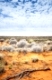 An image of the dry australian outback