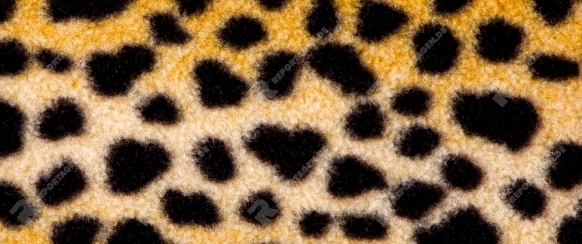 False leopard skin spots, makes for cool background.