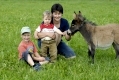 Fee mit Stefanie Lorenz und ihren beiden Jungen.
Mini-Muli-Fee wurde von Ihrer Mutter  